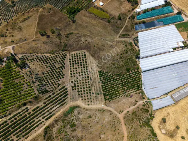 Aksu Kurşunlu 3006 M2 Satılık Müstakil Bahçe — görsel 8