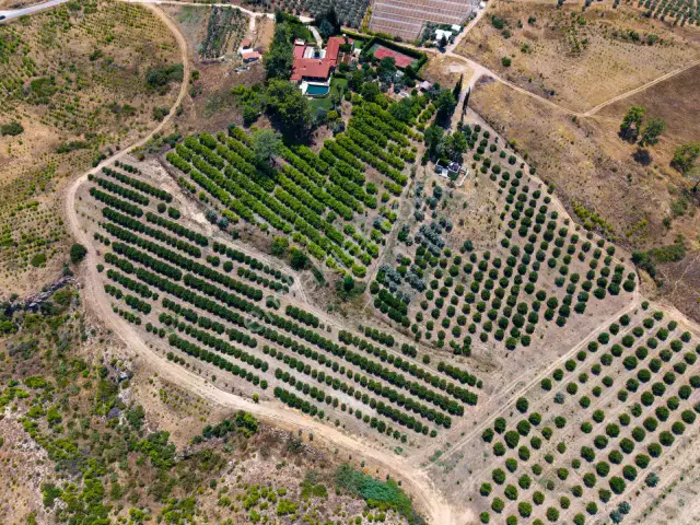 Aksu Kurşunlu 3006 M2 Satılık Müstakil Bahçe — görsel 9