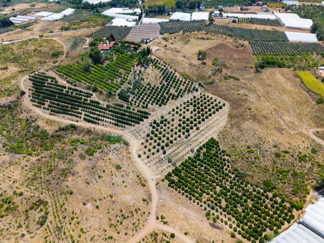 Aksu Kurşunlu 3006 M2 Satılık Müstakil Bahçe — görsel 10