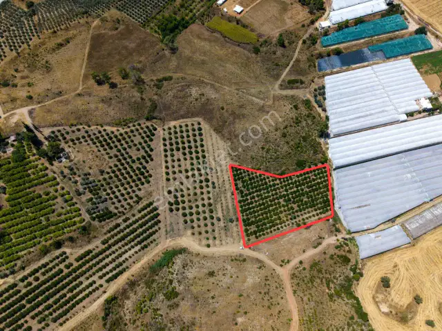 Aksu Kurşunlu 6.979 M2 Satılık Müstakil Bahçe — görsel 2