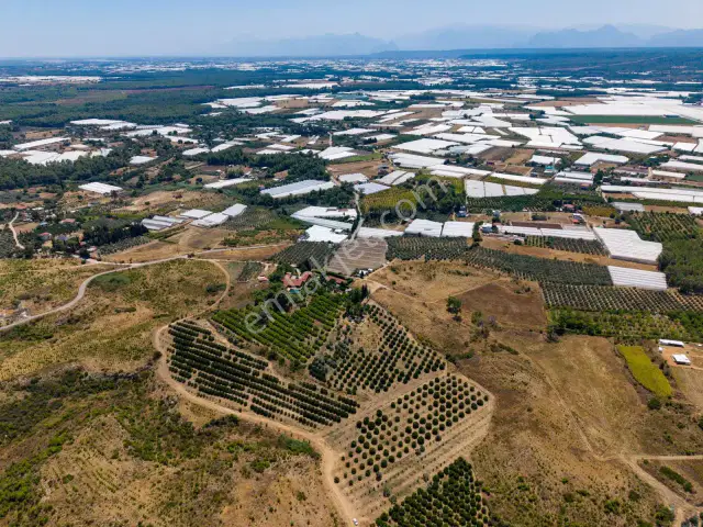 Aksu Kurşunlu 6.979 M2 Satılık Müstakil Bahçe — görsel 8