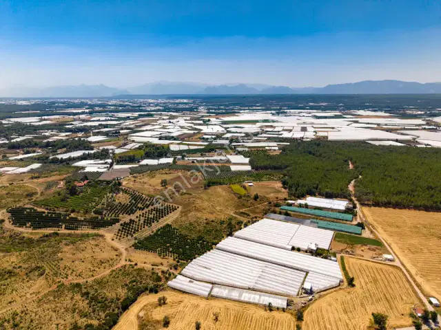 Aksu Kurşunlu 6.979 M2 Satılık Müstakil Bahçe — görsel 13