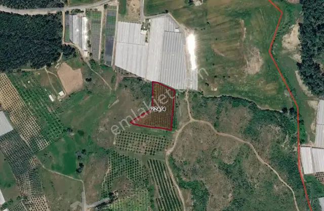 Aksu Kurşunlu 6.979 M2 Satılık Müstakil Bahçe — görsel 14