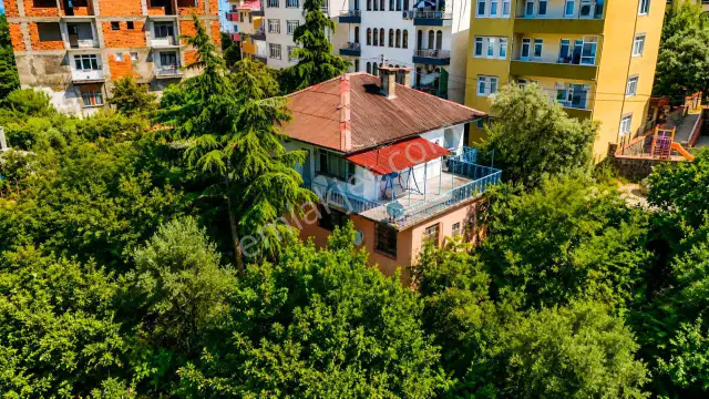 Trabzon'un En Kupon Arsası — görsel 5