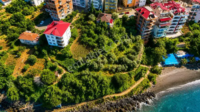 Trabzon'un En Kupon Arsası — görsel 11