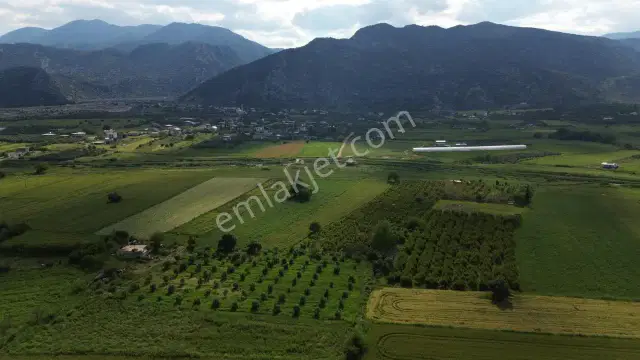 Döşemealtı Kovanlık'ta Tek Tapu Satılık Aktif Nar Bahçesi — görsel 8