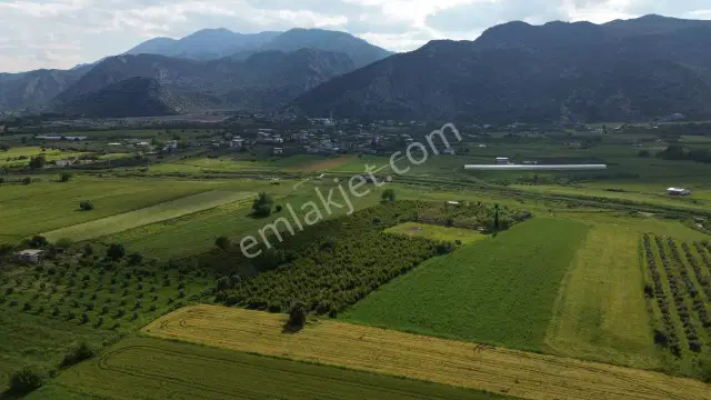 Döşemealtı Kovanlık'ta Tek Tapu Satılık Aktif Nar Bahçesi — görsel 9