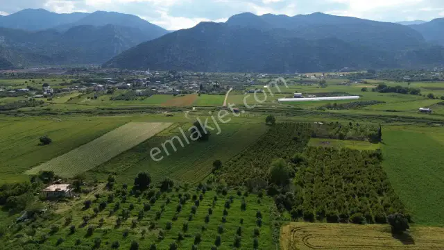 Döşemealtı Kovanlık'ta Tek Tapu Satılık Aktif Nar Bahçesi — görsel 15