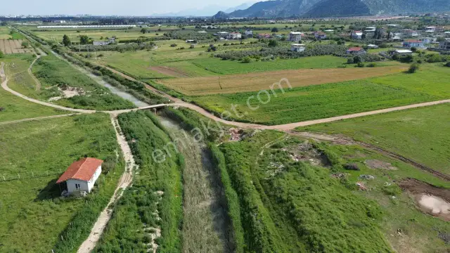 Döşemealtı Kovanlık'ta Tek Tapu Satılık Aktif Nar Bahçesi — görsel 16