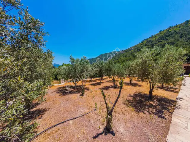 Adrasanda 3.629 M² İçinde Deniz Manzaralı 5+3 Müstakil Villa — görsel 5