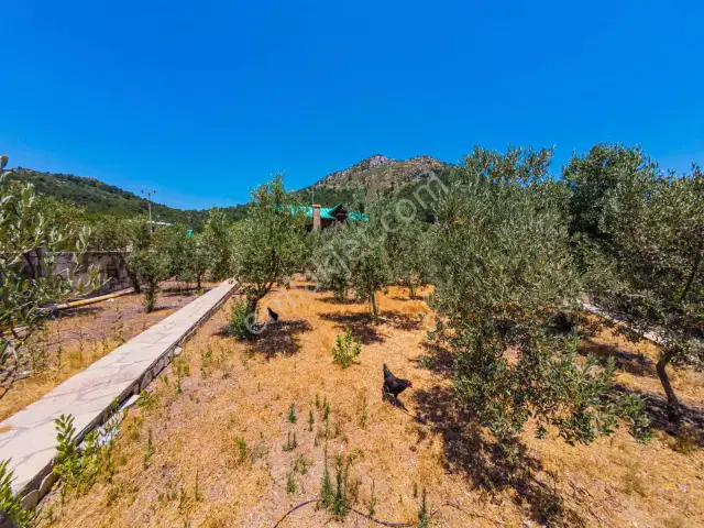 Adrasanda 3.629 M² İçinde Deniz Manzaralı 5+3 Müstakil Villa — görsel 7