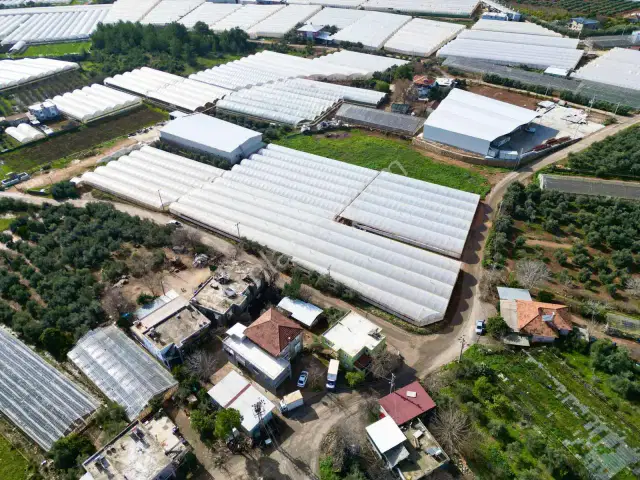 Kepez Gazilerde Yol Cepheli 9.880 M² Müstakil Tapulu Tarla — görsel 6