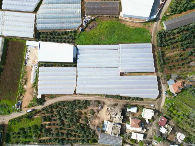 Kepez Gazilerde Yol Cepheli 9.880 M² Müstakil Tapulu Tarla — görsel 9
