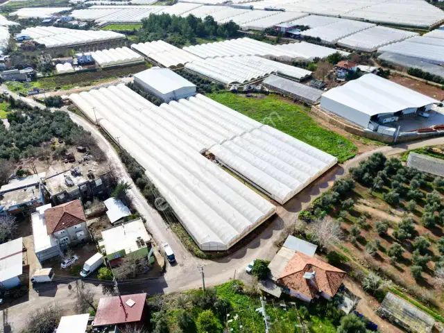 Kepez Gazilerde Yol Cepheli 9.880 M² Müstakil Tapulu Tarla — görsel 12