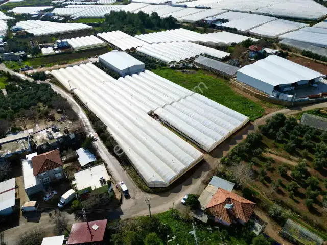 Kepez Gazilerde Yol Cepheli 9.880 M² Müstakil Tapulu Tarla — görsel 14