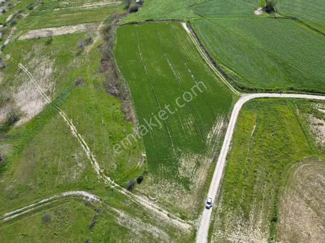Aksu Karaözde 8.533 M² Resmi Yolu Olan Verimli Yatırımlık Tarla — görsel 1