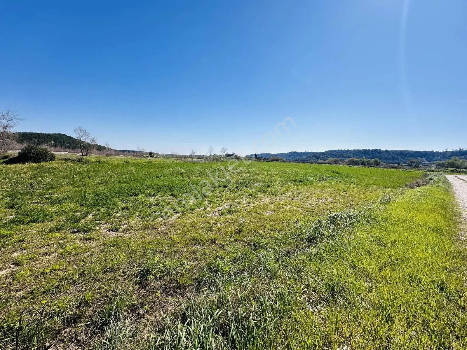Aksu Karaözde 8.533 M² Resmi Yolu Olan Verimli Yatırımlık Tarla — görsel 2