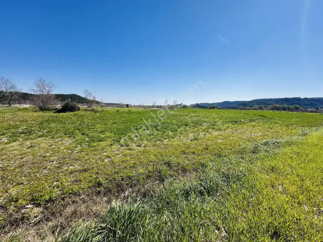 Aksu Karaözde 8.533 M² Resmi Yolu Olan Verimli Yatırımlık Tarla — görsel 3