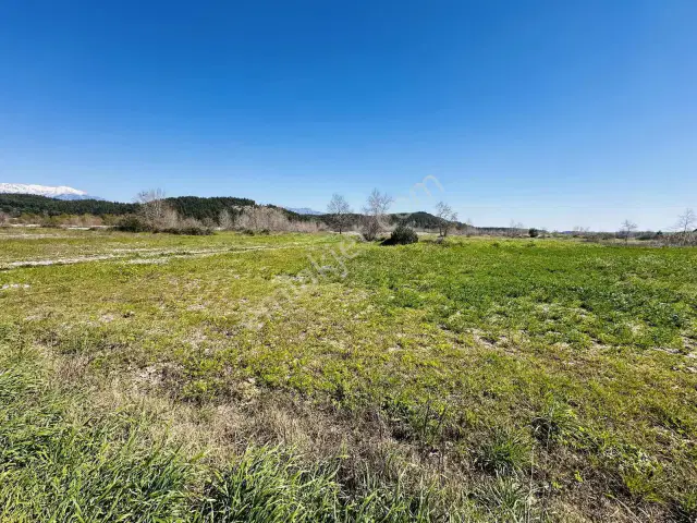 Aksu Karaözde 8.533 M² Resmi Yolu Olan Verimli Yatırımlık Tarla — görsel 4