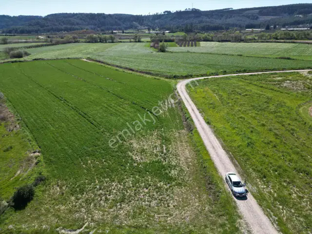 Aksu Karaözde 8.533 M² Resmi Yolu Olan Verimli Yatırımlık Tarla — görsel 5