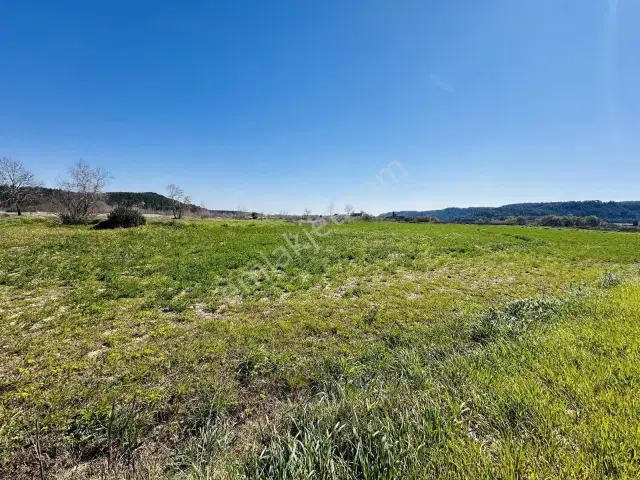 Aksu Karaözde 8.533 M² Resmi Yolu Olan Verimli Yatırımlık Tarla — görsel 6