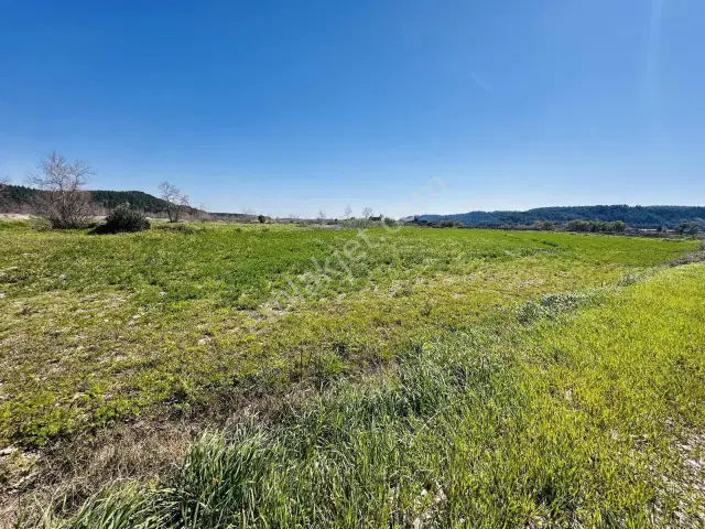 Aksu Karaözde 8.533 M² Resmi Yolu Olan Verimli Yatırımlık Tarla — görsel 7