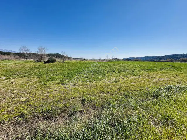 Aksu Karaözde 8.533 M² Resmi Yolu Olan Verimli Yatırımlık Tarla — görsel 10