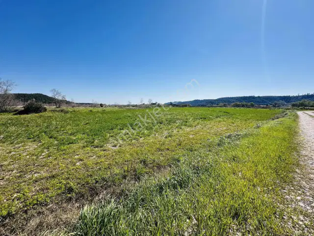 Aksu Karaözde 8.533 M² Resmi Yolu Olan Verimli Yatırımlık Tarla — görsel 29