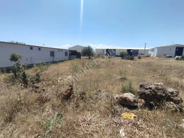 Varsak Zeytinlik Satılık Arsa