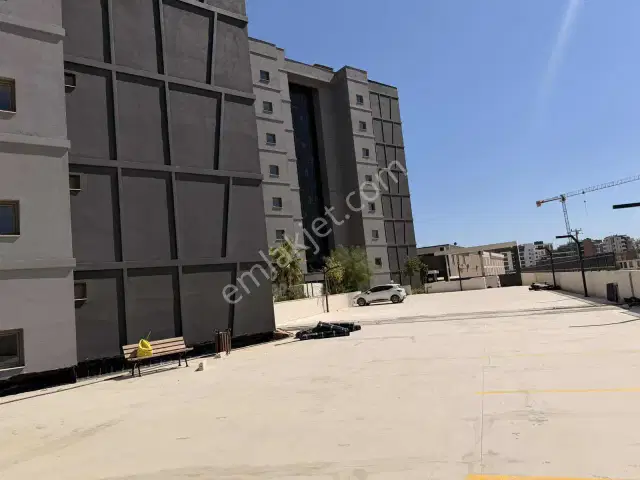 Altıntaş'ta İskanlı Ara Kat Kiralık Daire — görsel 6