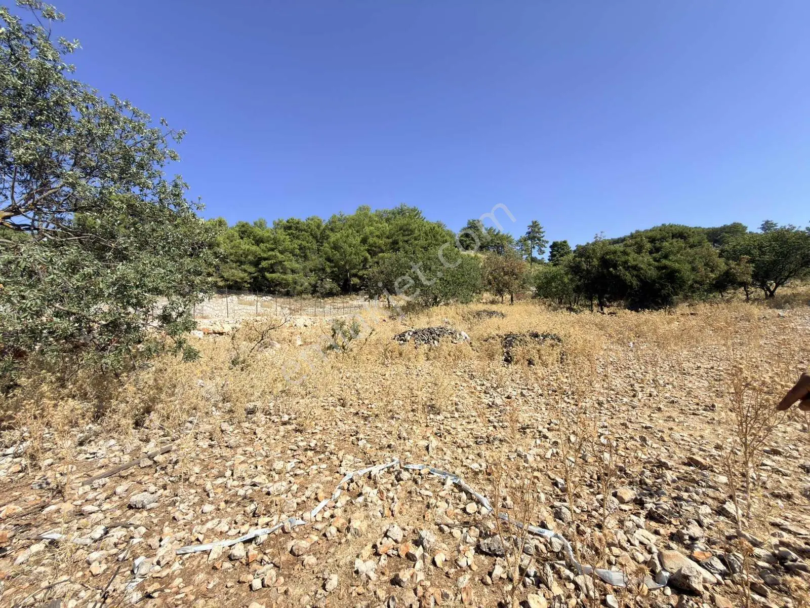 Finike Boldağ Ticaret Turizm Villa İmarlı 369m2 Satılık Parsel — görsel 10