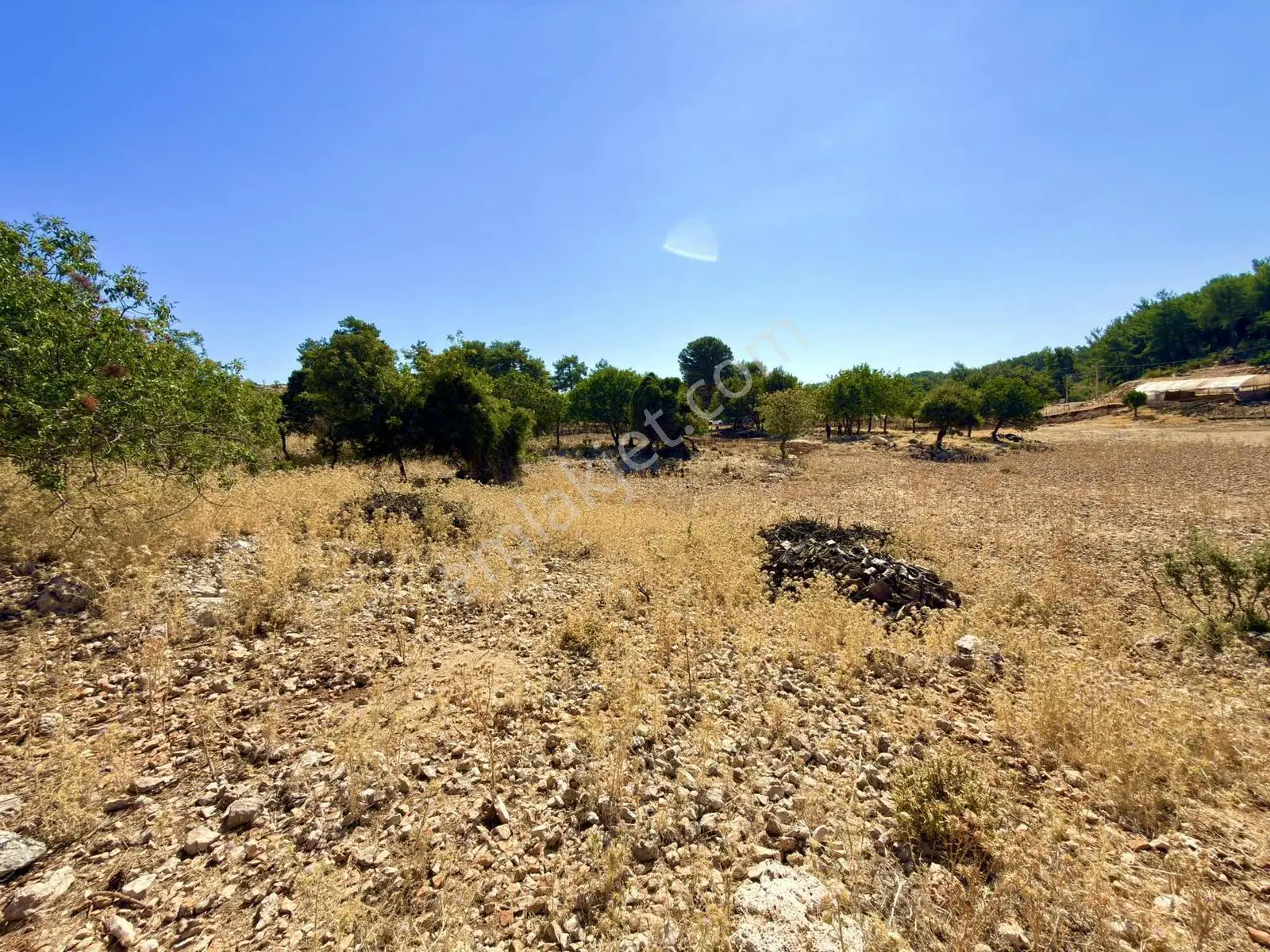 Finike Boldağ Ticaret Turizm Villa İmarlı 369m2 Satılık Parsel — görsel 11