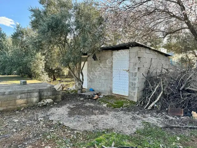 Aksu Yeşilkaramanda 5.592 M² Depo Yapımına Uygun Arazi — görsel 4