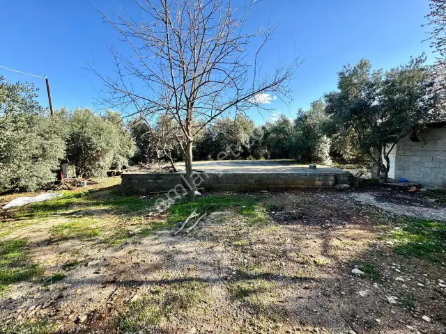 Aksu Yeşilkaramanda 5.592 M² Depo Yapımına Uygun Arazi — görsel 8