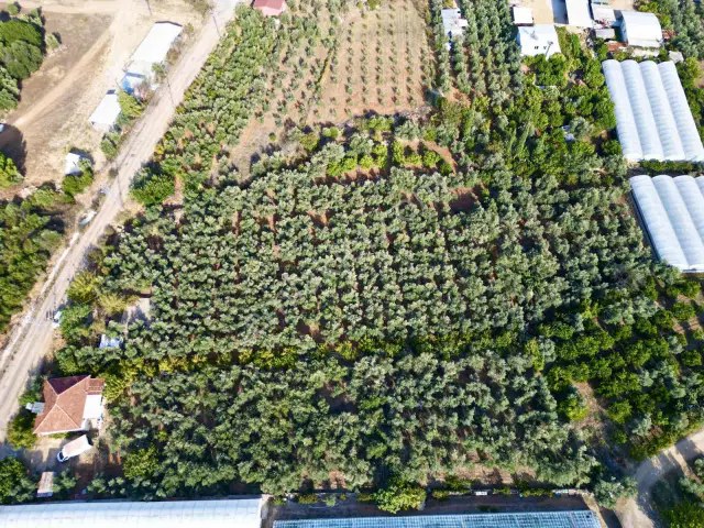 Aksu Yeşilkaramanda 5.592 M² Depo Yapımına Uygun Arazi — görsel 9