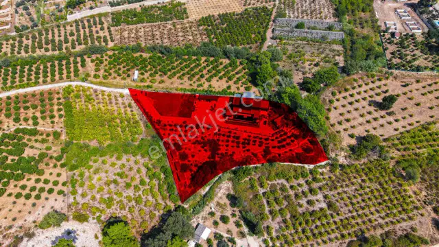 7572 M2 Tarla İçerisinde, Özel Tasarımlı 3 Katlı Lüks Villa — görsel 34