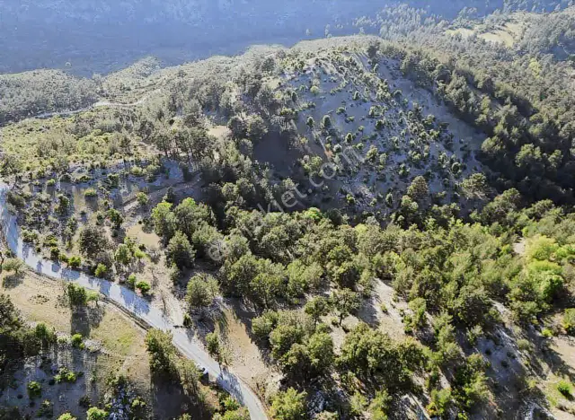 Antalya Akseki Kepez De 30.450 M² Doğa İçinde Yatırımlık Arazi — görsel 3