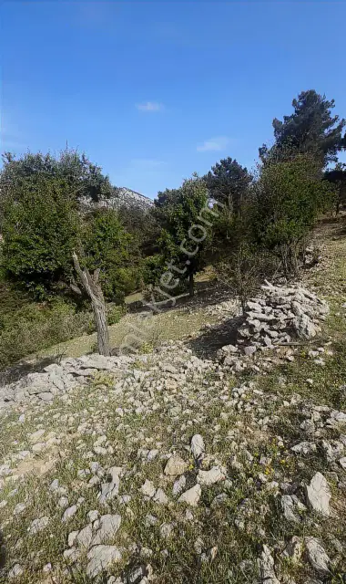 Antalya Akseki Kepez De 30.450 M² Doğa İçinde Yatırımlık Arazi — görsel 5