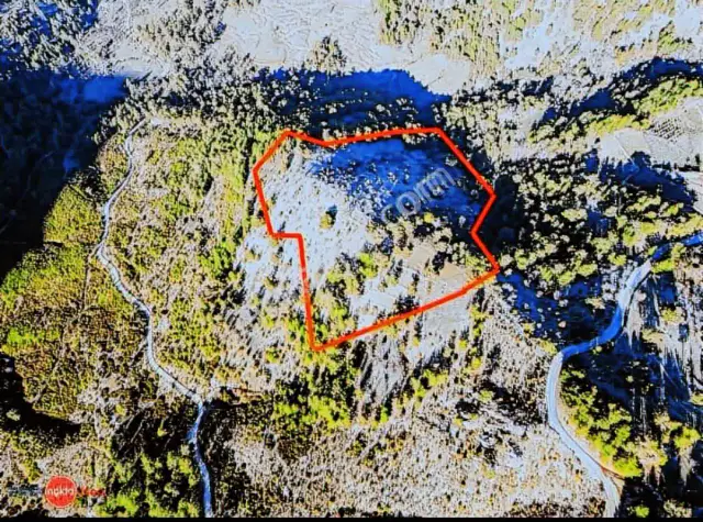 Antalya Akseki Kepez De 30.450 M² Doğa İçinde Yatırımlık Arazi — görsel 6