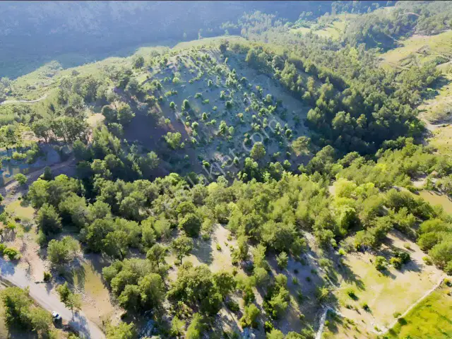 Antalya Akseki Kepez De 30.450 M² Doğa İçinde Yatırımlık Arazi — görsel 30
