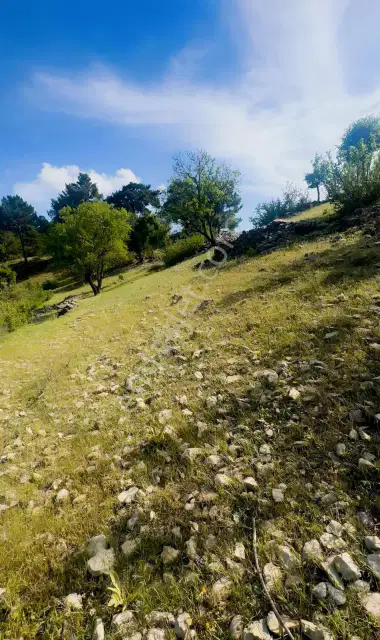 Antalya Akseki Kepez De 30.450 M² Doğa İçinde Yatırımlık Arazi — görsel 31