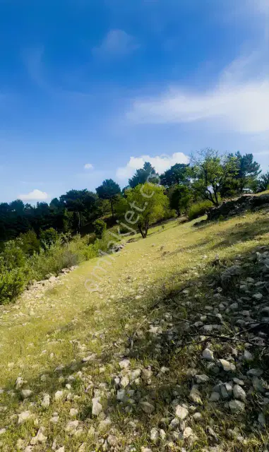 Antalya Akseki Kepez De 30.450 M² Doğa İçinde Yatırımlık Arazi — görsel 32