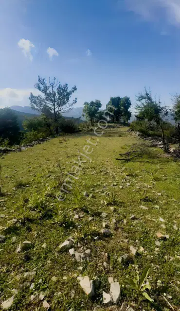 Antalya Akseki Kepez De 30.450 M² Doğa İçinde Yatırımlık Arazi — görsel 33