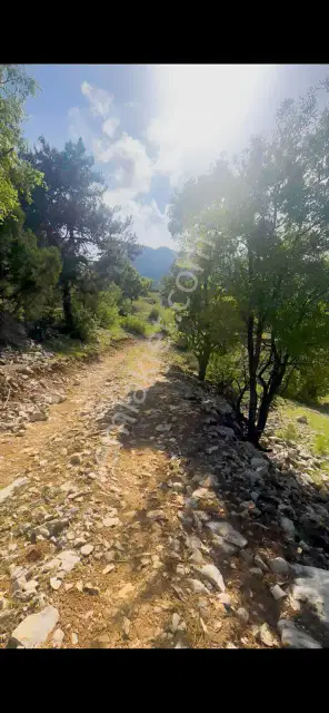 Antalya Akseki Kepez De 30.450 M² Doğa İçinde Yatırımlık Arazi — görsel 34