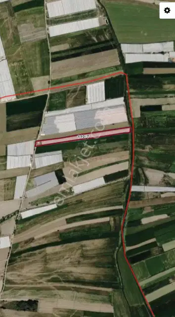 Korkuteli Kozağacında Seralı 9.903 M² Satılık Tarla — görsel 8