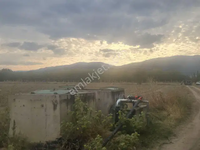 Her Türlü Tarıma Uygun Tek Tapu Dümdüz Arazi — görsel 5