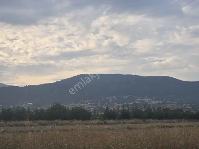 Her Türlü Tarıma Uygun Tek Tapu Dümdüz Arazi — görsel 7