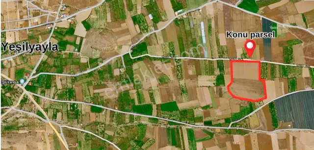 Her Türlü Tarıma Uygun Tek Tapu Dümdüz Arazi — görsel 12